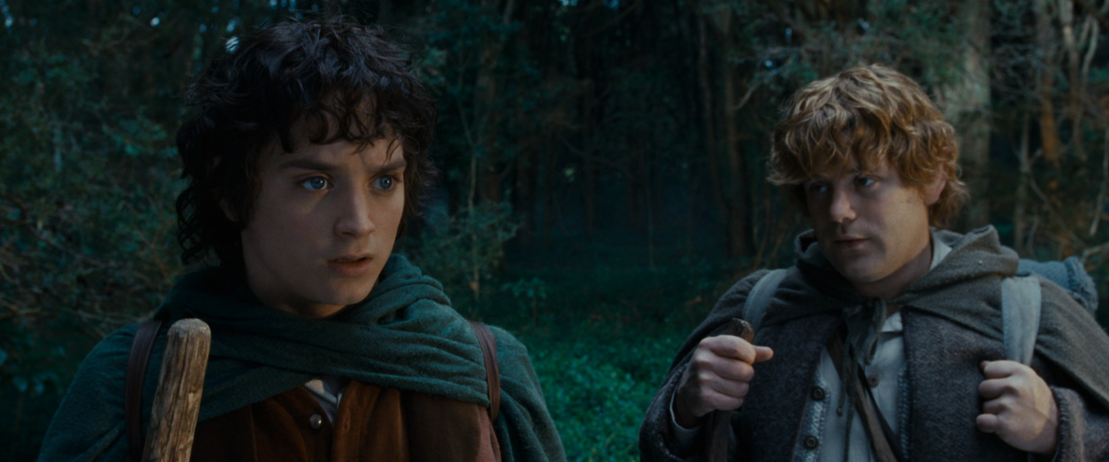 Sam with Frodo
