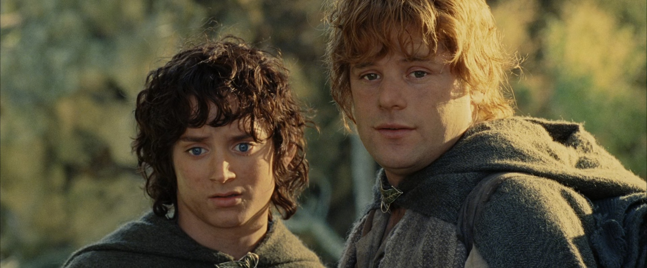 LOTR: What Would Happen If Sam Was The Ring Bearer?